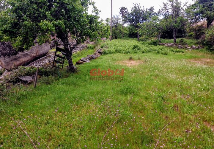 Terra a Sernancelhe, Viseu, Sernancelhe - € 11.700 | Ref: 189262094 - foto 1