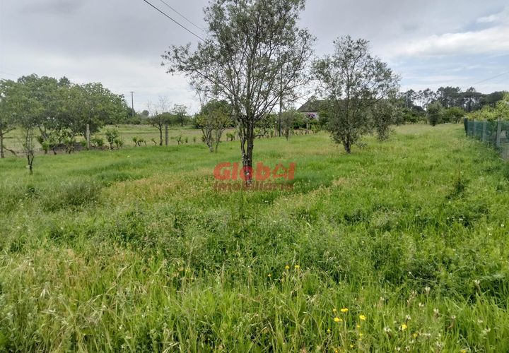 Helårsgrund i Viseu, Viseu, Viseu - € 58.500 | Ref: 189262097 - foto 1