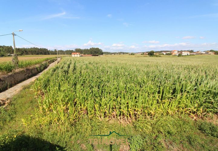 Helårsgrund i Ovar, Aveiro, Ovar - € 210.000 | Ref: TRI605 - foto 1
