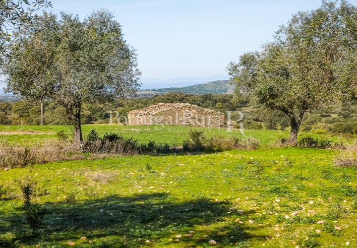 Landejendom i Rosmaninhal, Castelo Branco, Rosmaninhal - € 900.000 | Ref: MT605 - foto 1