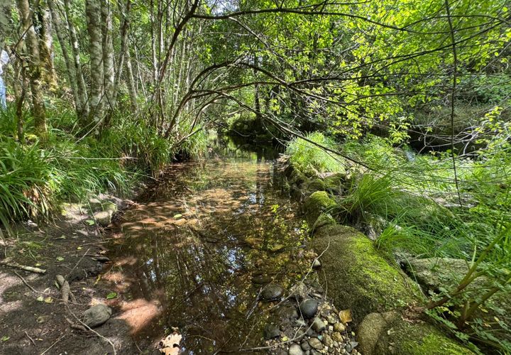 Landejendom i Amarante, Porto, Amarante - € 175.000 | Ref: 511521187 - foto 1
