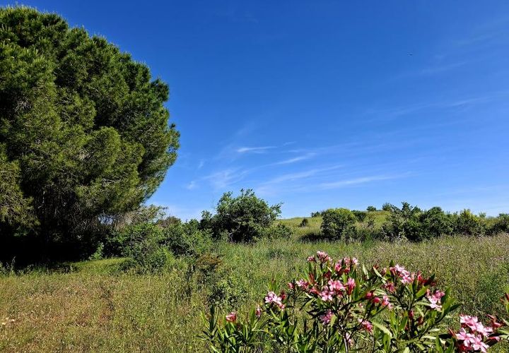 Terra a Beziers, Herault, Beziers - € 99.000 | Ref: 34B-LE_GARISSOU_1_Bezier - foto 1
