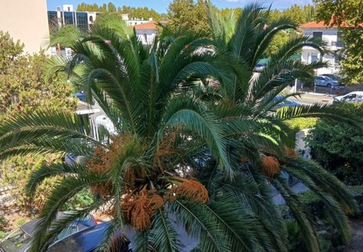 Wohnung in Frejus, Var, Frejus - € 1.450/Monat | Ref: 661664 - Foto 1