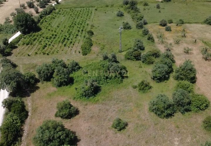 Terra a Olaia e Paco, Santarem, Olaia e Paco - € 106.500 | Ref: C0364-05992 - foto 1
