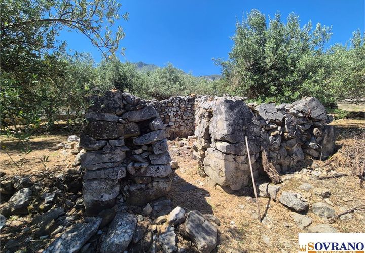 Terra a Carini, Palermo, Carini - € 55.000 | Ref: 67/26 - foto 1