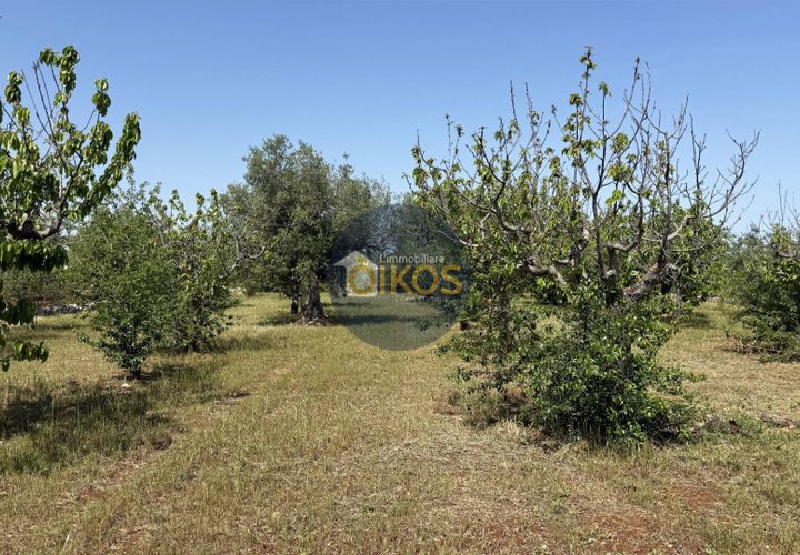 Terra a Polignano a Mare, Bari, Polignano a Mare - € 39.500 | Ref: 193 - foto 1