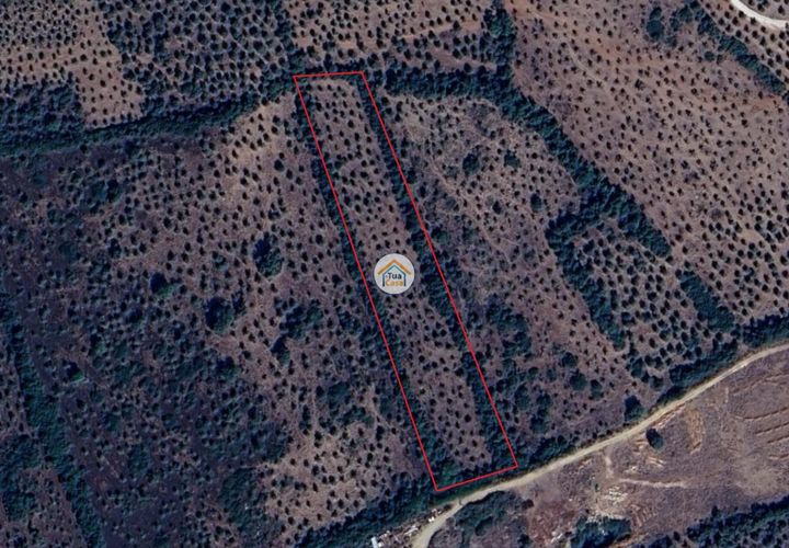 Helårsgrund i Borba, Evora, Borba - € 38.000 | Ref: 3TC4150 - foto 1