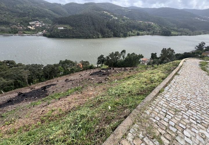 Terra a Penafiel, Porto, Penafiel - € 435.000 | Ref: 934231 - foto 1