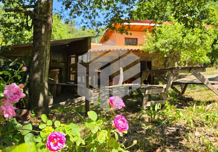 Landejendom i Tabua, Coimbra, Tabua - € 280.000 | Ref: LMF076 - foto 1