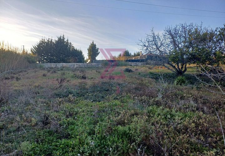 Helårsgrund i Bombarral, Leiria, Bombarral - € 140.000 | Ref: SFF215 - foto 1