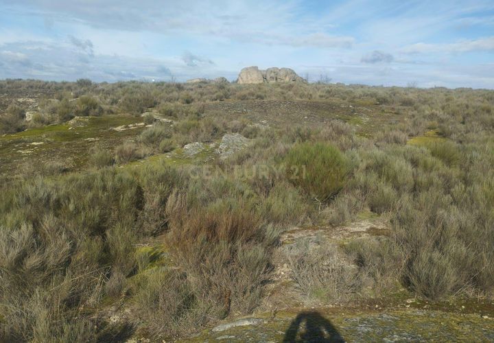 Helårsgrund i Guarda, Guarda, Guarda - € 37.000 | Ref: C0434-01300 - foto 1