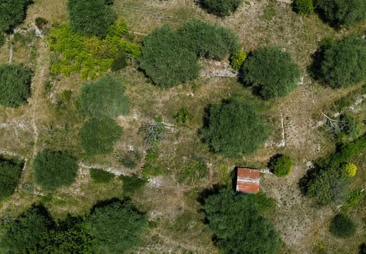 Grond in Drap, Alpes-Maritimes, Drap - € 259.000 | Ref: 1290 - foto 1