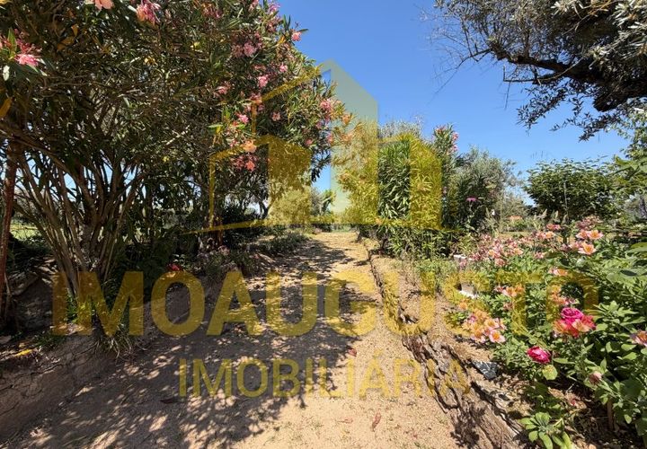 Terra a Minhocal, Guarda, Minhocal - € 19.500 | Ref: TER_2473 - foto 1