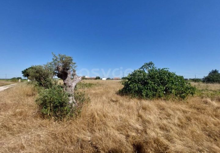 Helårsgrund i Palmela, Setubal, Palmela - € 129.000 | Ref: PN99307ES - foto 1