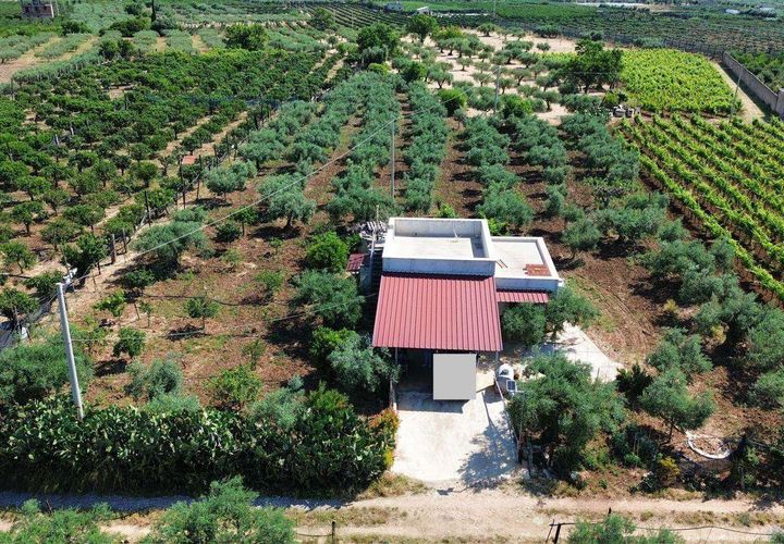 Terra a Ribera, Agrigento, Ribera - € 90.000 | Ref: T/228 - foto 1