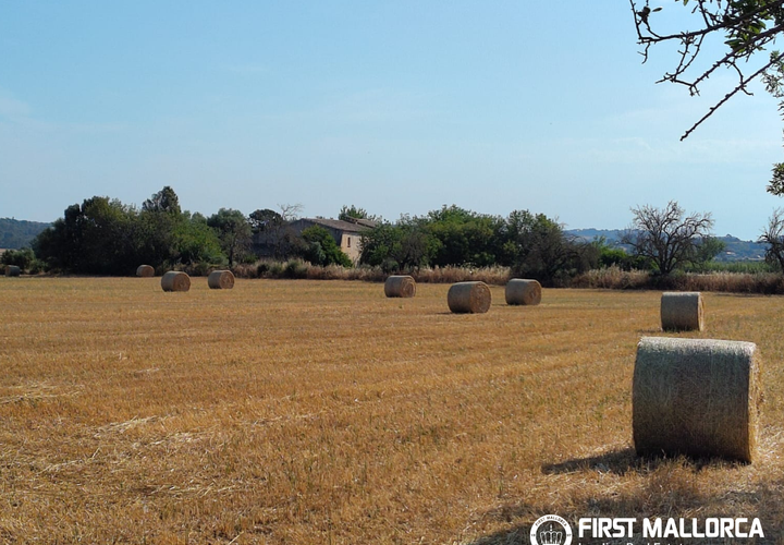 Finca i Algaida, Mallorca, Algaida - € 1.600.000 | Ref: 83840 - foto 1