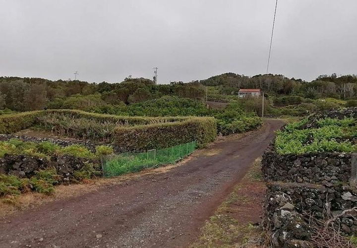 Helårsgrund i Lajes do Pico, Pico, Lajes do Pico - € 120.000 | Ref: 833241 - foto 1