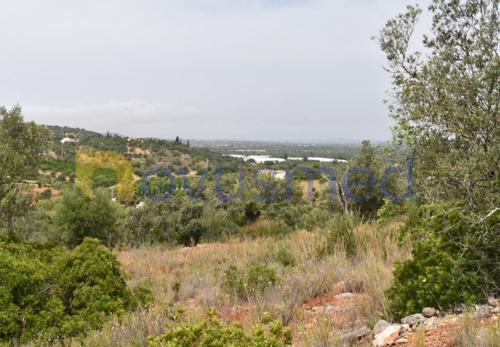 Terra a Paderne, Faro, Paderne - € 38.000 | Ref: TE-14 (PR-079) - foto 1