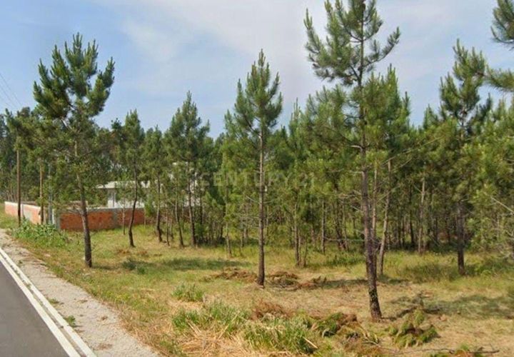 Helårsgrund i Vagos, Aveiro, Vagos - € 62.000 | Ref: C0393-01547 - foto 1