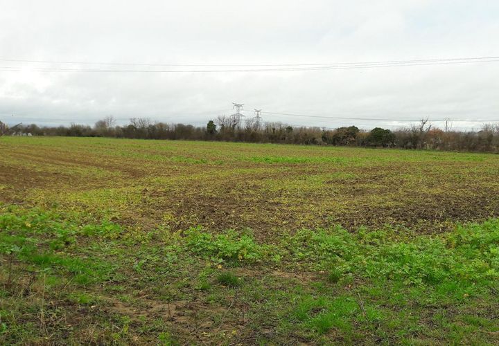 Terra a Cauvicourt, Calvados, Cauvicourt - € 56.900 | Ref: KL_CAUVICOURT_TERRAIN_II_22.05 - foto 1
