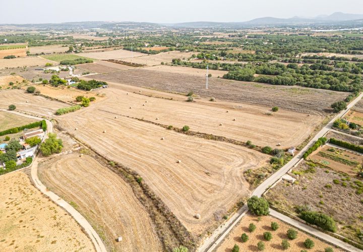 Terra a Manacor, Mallorca, Manacor - € 145.000 | Ref: 05ML032/3010 - foto 1