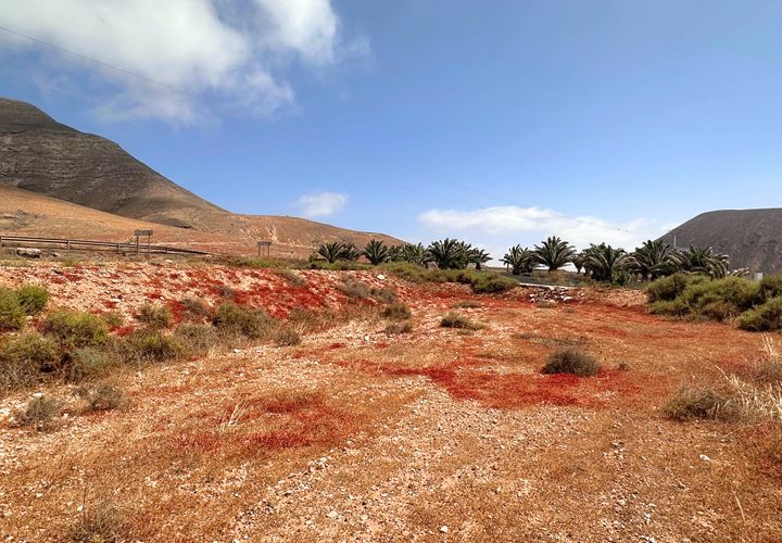 Helårsgrund i Tindaya, Fuerteventura, Tindaya - € 90.000 | Ref: FV633 - foto 1