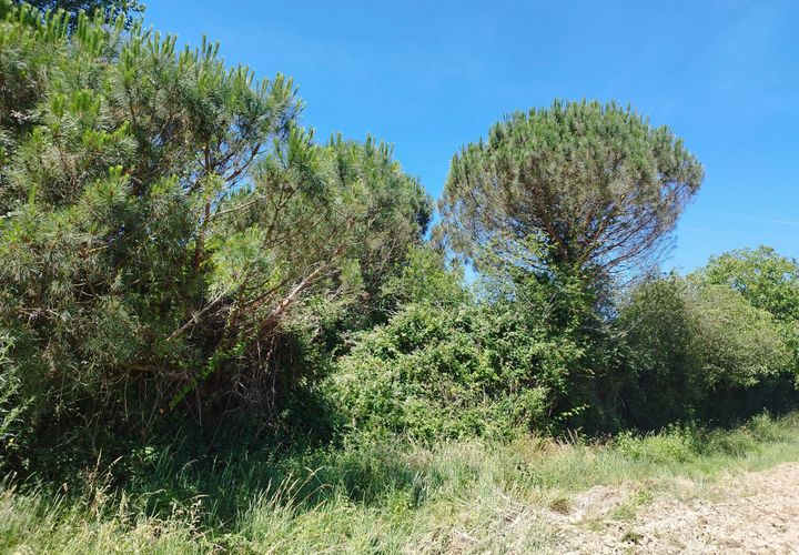 Terreno en Gratens, Haute-Garonne, Gratens - € 66.000 | Ref: 12828 - photo 1