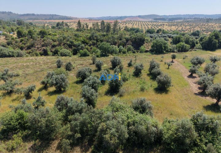 Helårsgrund i Castelo Branco, Castelo Branco, Castelo Branco - € 21.000 | Ref: 126031 - foto 1