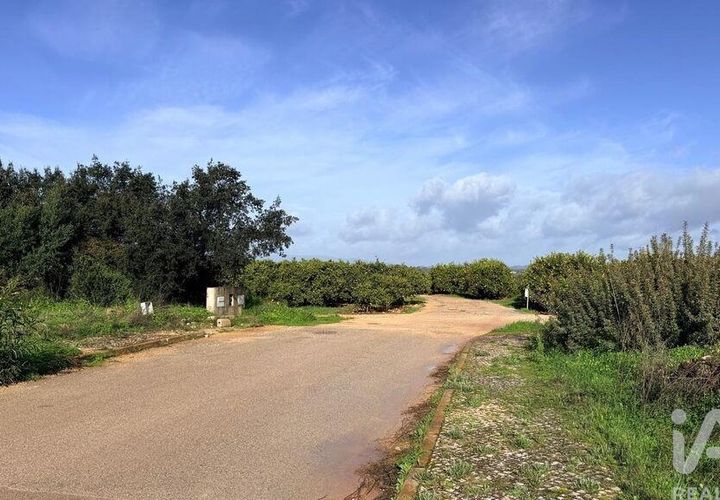 Terra a Silves, Faro, Silves - € 210.000 | Ref: 939455 - foto 1