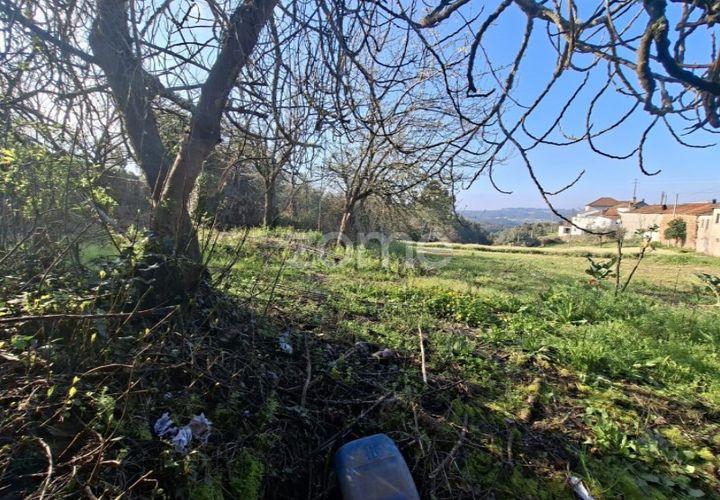 Granja a Arganil, Coimbra, Arganil - € 125.000 | Ref: ZMPT589662 - foto 1