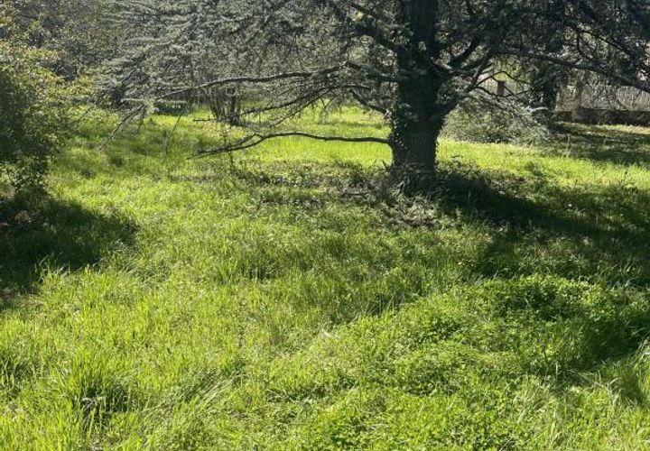 Terra a Gratentour, Haute-Garonne, Gratentour - € 298.000 | Ref: b_7419 - foto 1