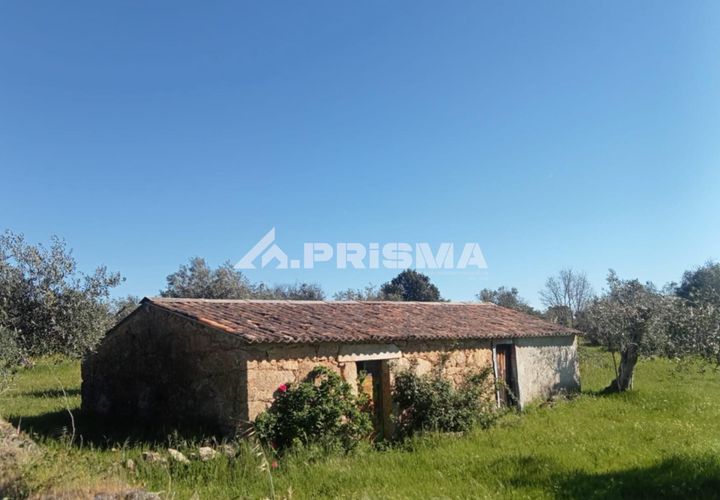 Farm i Castelo Branco, Castelo Branco, Castelo Branco - € 47.000 | Ref: PP4779 - foto 1