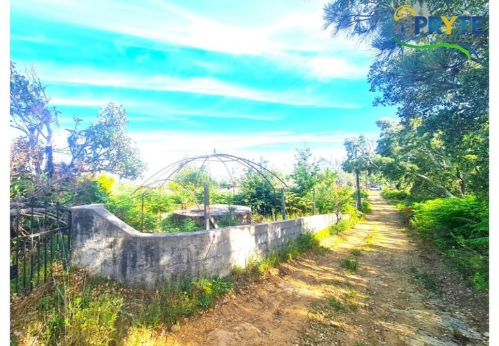 Farm i Serta, Castelo Branco, Serta - € 17.000 | Ref: AS160 - foto 1