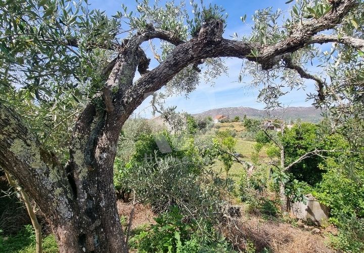 Byhus i Castelo Branco, Castelo Branco, Castelo Branco - € 17.000 | Ref: H789 - foto 1