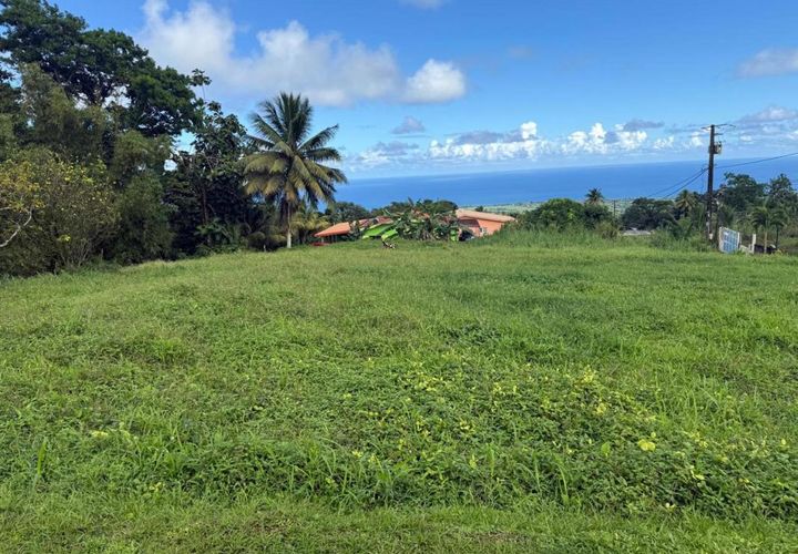 Terra a Basse-Pointe, Martinique, Basse-Pointe - € 128.000 | Ref: 2007 - foto 1