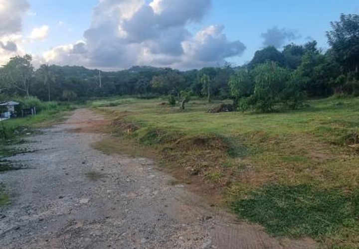 Tomt i Le Robert, Martinique, Le Robert - € 149 000 | Ref: 1906 - foto 1