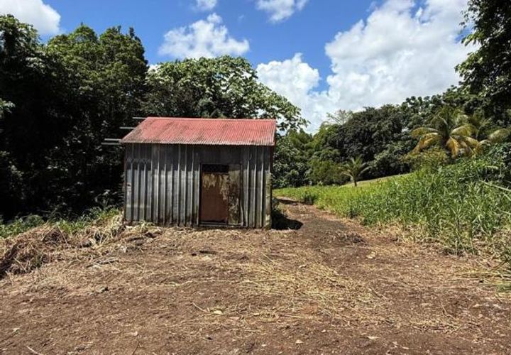 Terra a Le Lamentin, Martinique, Le Lamentin - € 265.000 | Ref: 1687 - foto 1