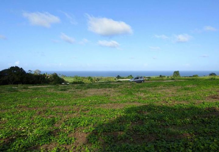 Terra a Basse-Pointe, Martinique, Basse-Pointe - € 83.000 | Ref: 1871-7 - foto 1