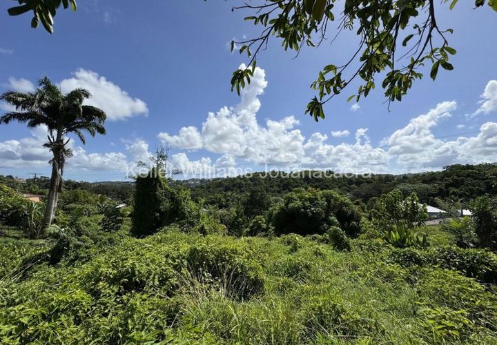 Terra a Joseph, Martinique, Joseph - € 295.000 | Ref: 1848 - foto 1