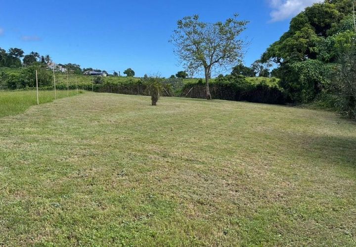 Terra a Le Lamentin, Martinique, Le Lamentin - € 299.000 | Ref: 1607 - foto 1