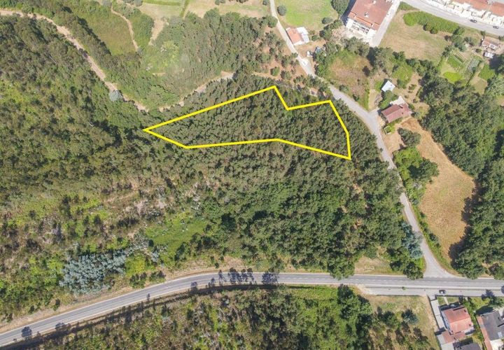 Terreno en Santo Andre, Setubal, Santo Andre - € 25.000 | Ref: C0289-01413 - photo 1