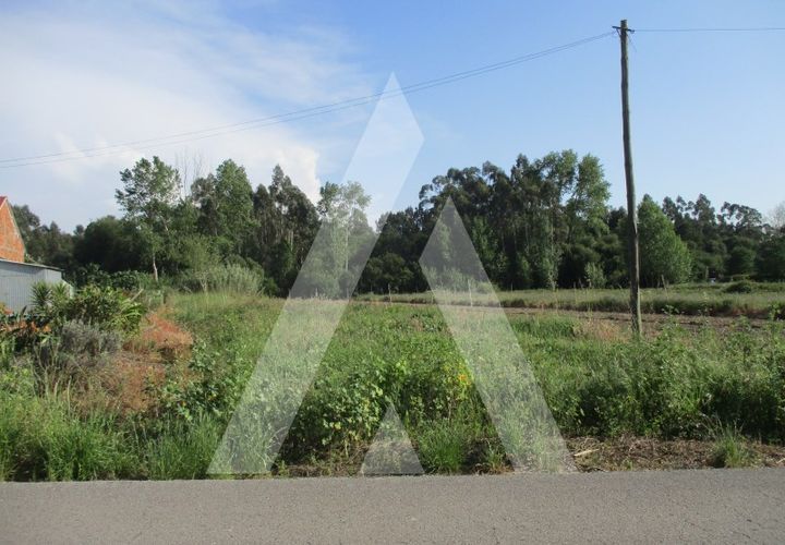 Helårsgrund i Oliveira do Bairro, Aveiro, Oliveira do Bairro - € 30.000 | Ref: 1051413/26 OB - foto 1