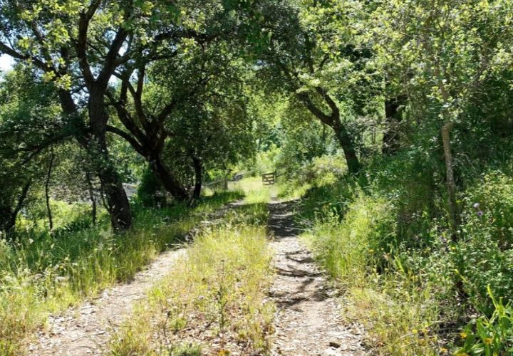 Farm i Estremoz, Evora, Estremoz - € 450.000 | Ref: KWPT-032694 - foto 1