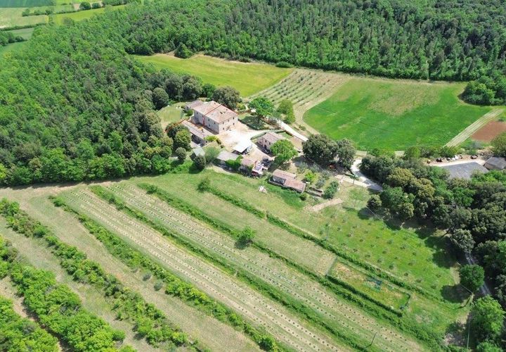 Gårdshus i Monteriggioni, Siena, Monteriggioni - € 1 600 000 | Ref: a6292ta2569360a - foto 1