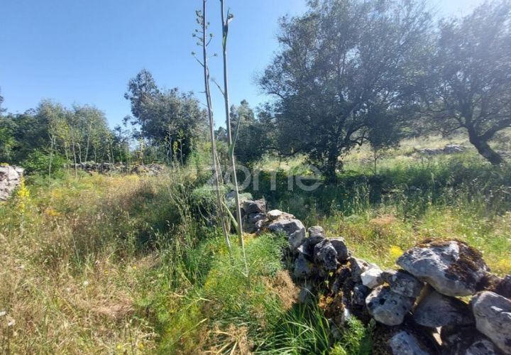 Helårsgrund i Batalha, Leiria, Batalha - € 25.000 | Ref: ZMPT589688 - foto 1