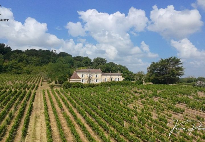 Landejendom i Moulon, Gironde, Moulon - € 315.000 | Ref: 830030956033 - foto 1