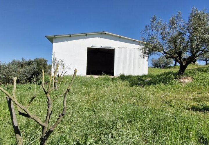 Terra a Rio Maior, Santarem, Rio Maior - € 98.000 | Ref: 139147 - foto 1