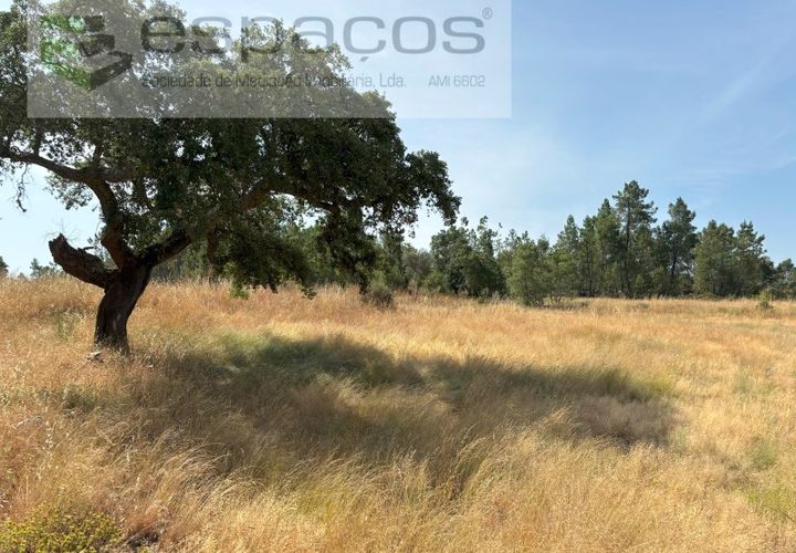 Grond in Castelo Branco, Castelo Branco, Castelo Branco - € 13.000 | Ref: 5551/AC-FA - foto 1