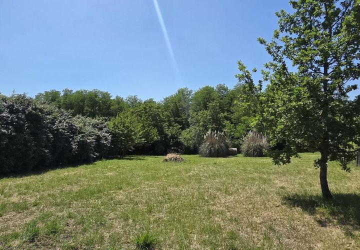 Terra a Saint-Thomas-De-Conac, Charente-Maritime, Saint-Thomas-De-Conac - € 28.000 | Ref: JP4459 - foto 1