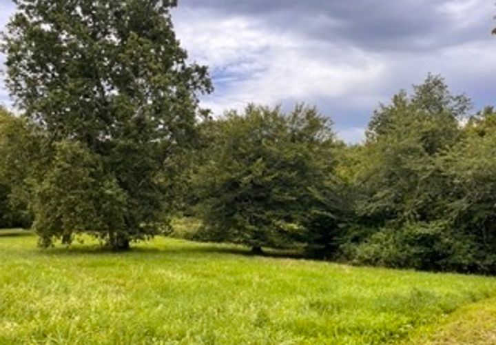 Terra a Camarsac, Gironde, Camarsac - € 88.000 | Ref: KCCAMAR - foto 1